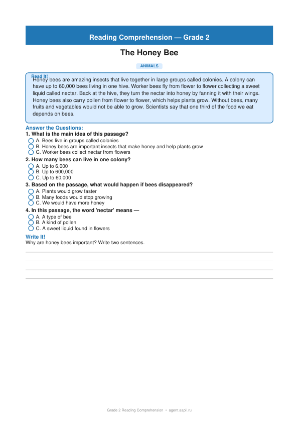 Понимание текста — 2-й класс (Grade 2)